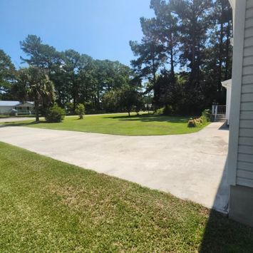 grass cut